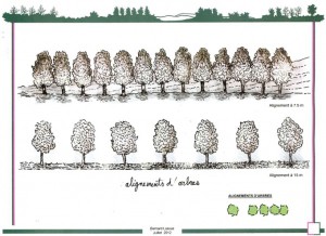 esquisses-d-amenagements-paysagers-alignements-d-arbres.680.495.s