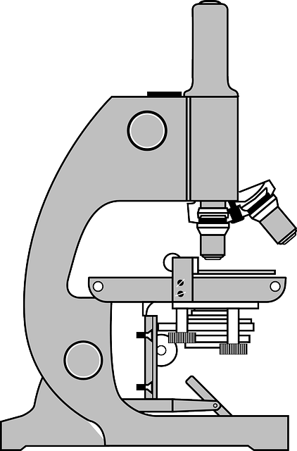 Comment utiliser un microscope optique ? 