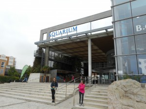 aquarium rampe ULIS (1)