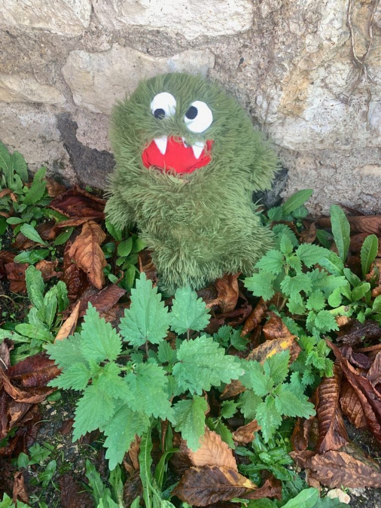 Nous avons trouvé des orties tout près de l’école. Notre mascotte Gloups a de la chance, elle ne craint pas les piqures d’ortie !