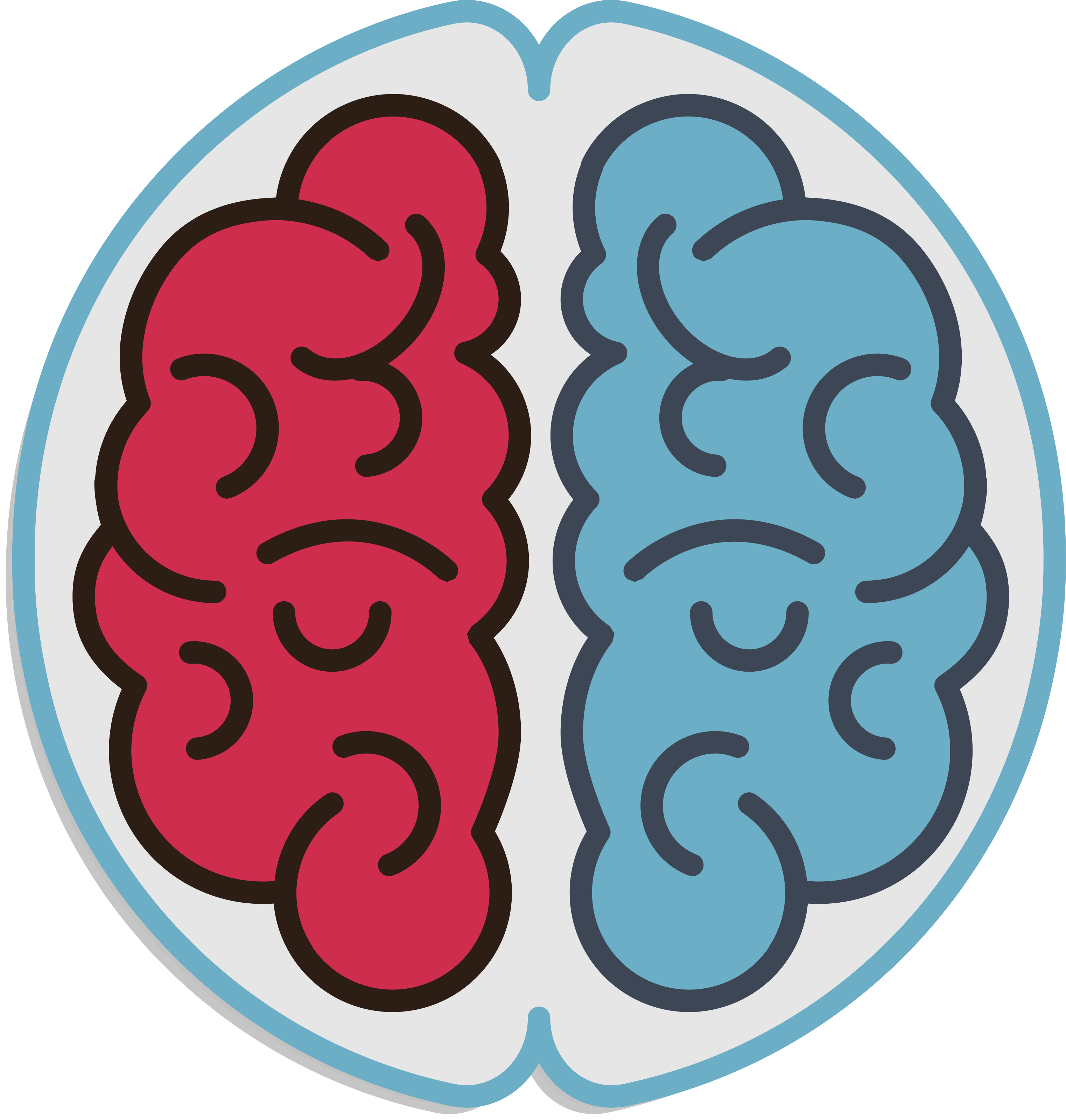 Accessibilité des apprentissages en maternelle et sciences cognitive.