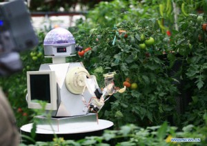 Le robot détecte les fruits